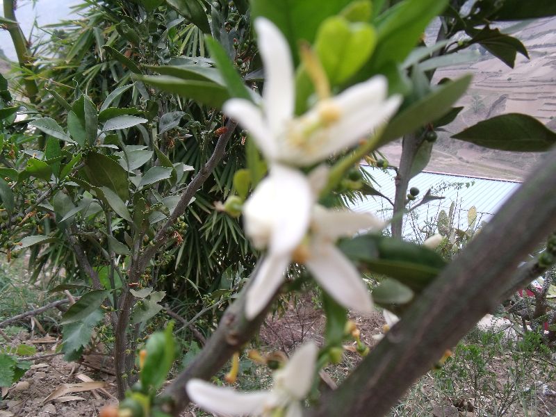 20100430�ۻ�03.jpg