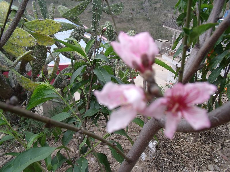 20100430�һ�.jpg