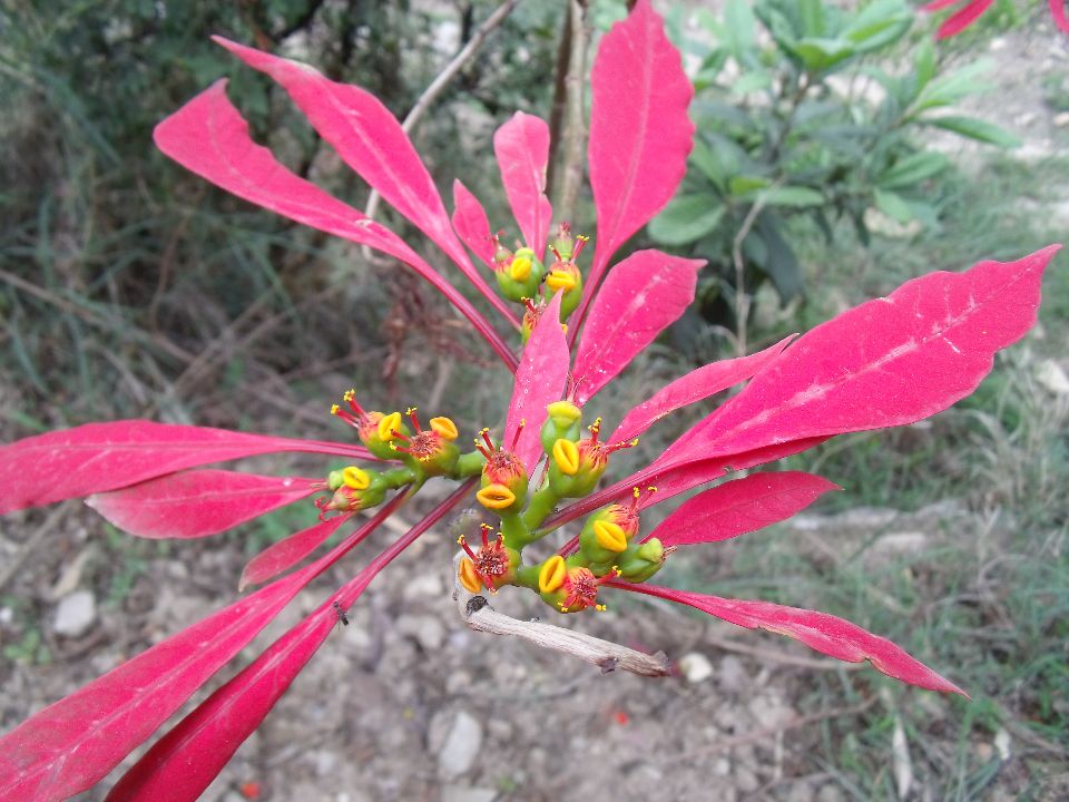 20100430�޺�01.jpg