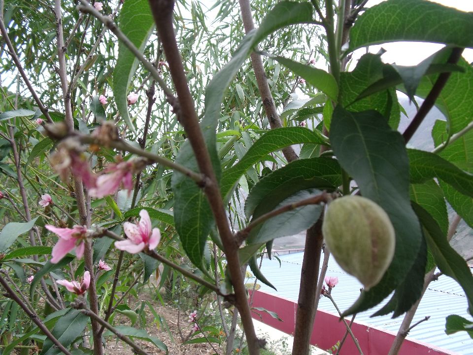 20100430������.jpg