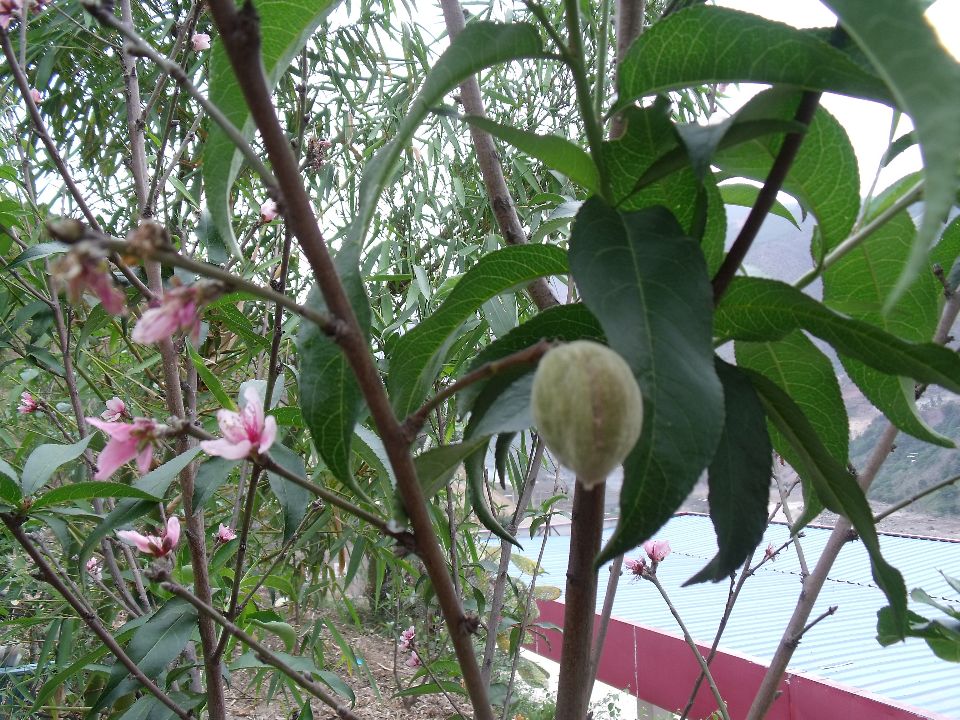 20100430�Һͻ�.jpg