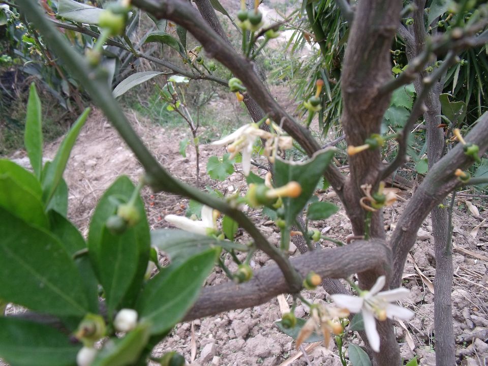 20100430�ۻ�04.jpg