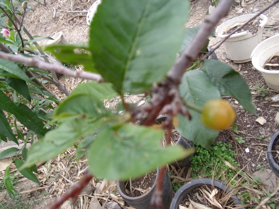 20100430�ƹ�.jpg