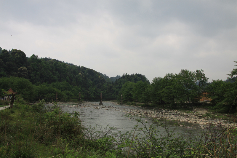 IMG_3241.jpg