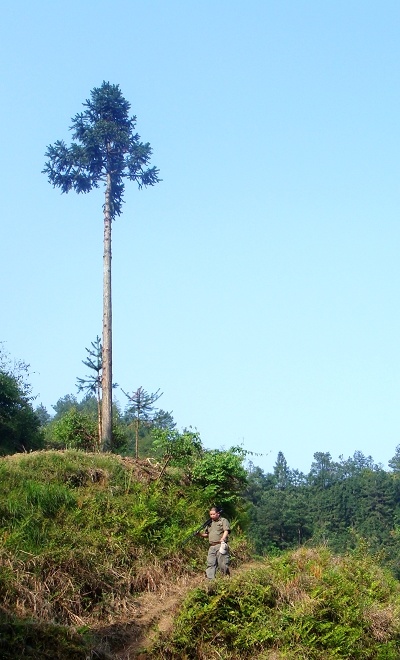 11.JPG