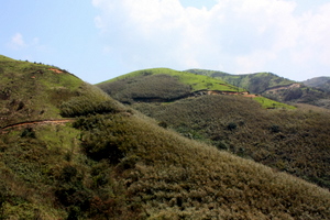 IMG_9037.JPG
