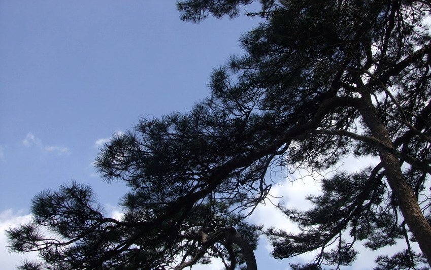 20100430��ɽ��Խ 439.jpg