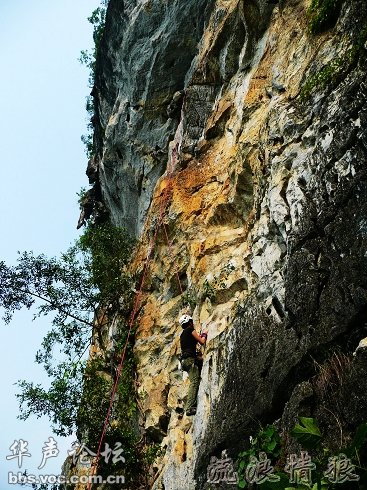 200905141522374811-162858.jpg