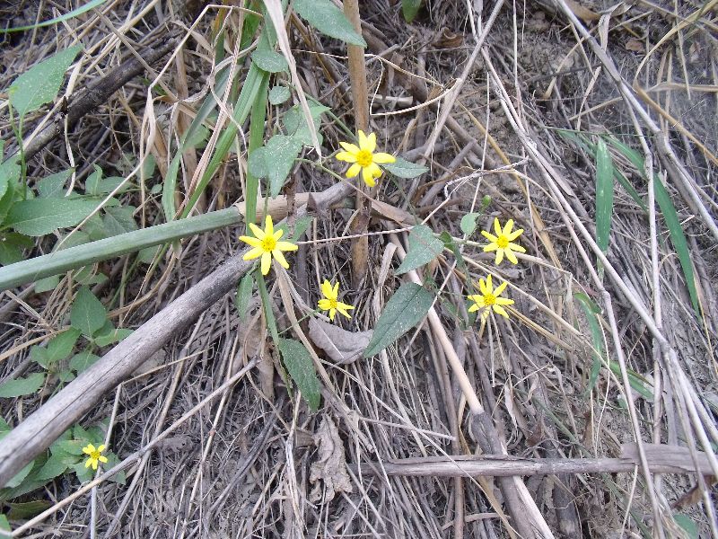 2010050506С��.jpg