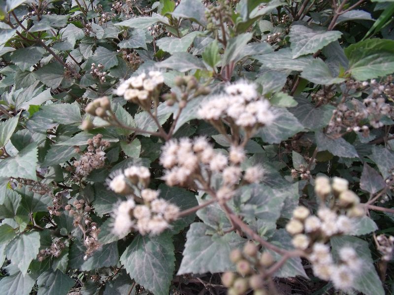 2010050507�ذ�.jpg