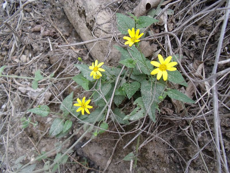 2010050505С��.jpg