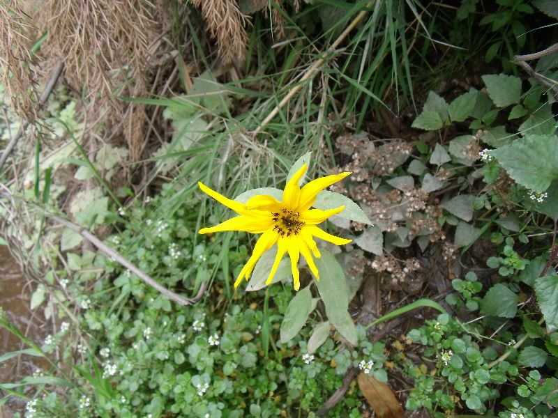 2010050513С��.jpg