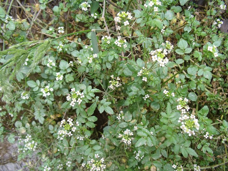 20100505 012.jpg