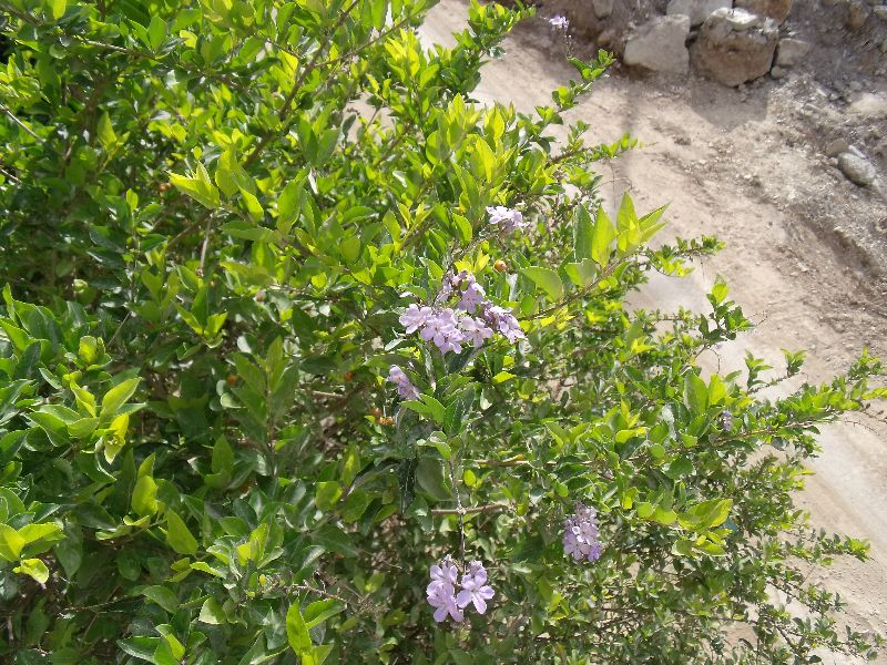 2010050514����.jpg