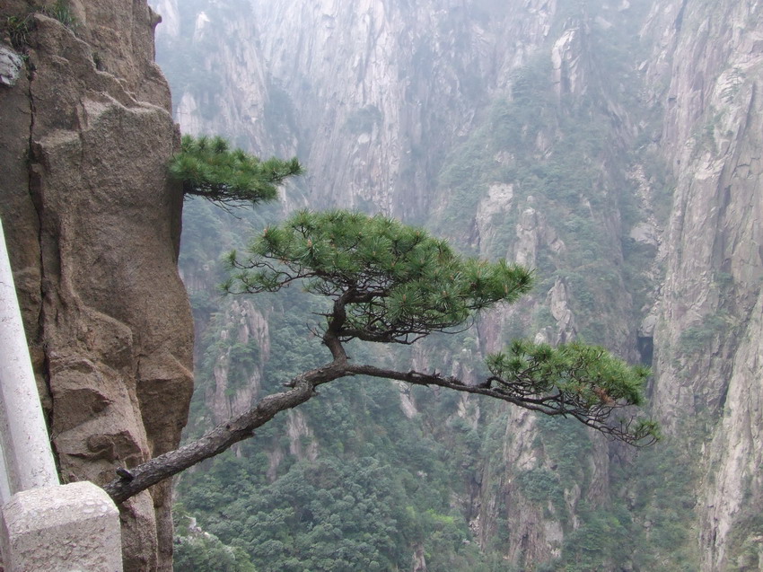 20100430��ɽ��Խ 124.jpg