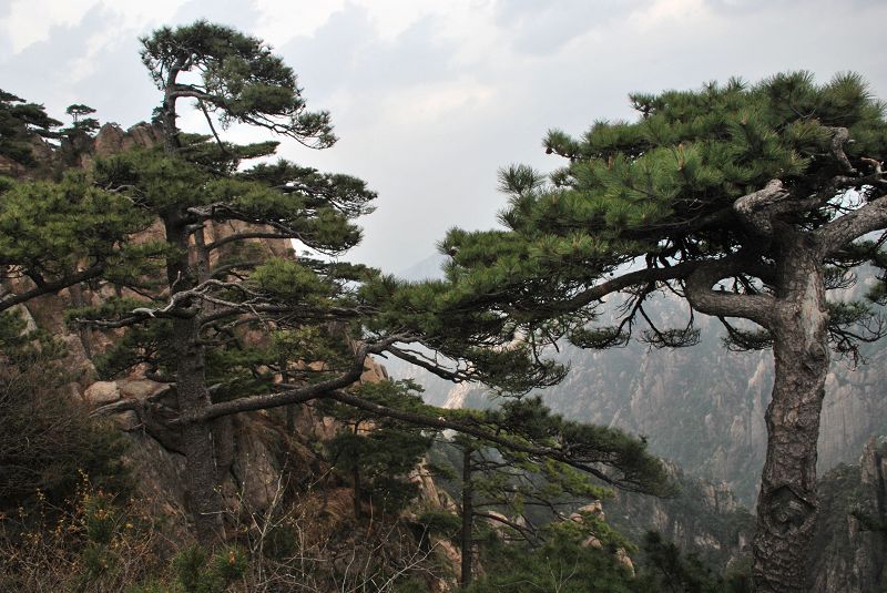��ɽ��Խ 655.jpg