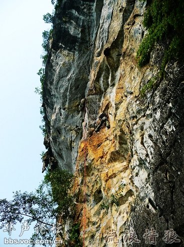200905141526149961-162858.jpg
