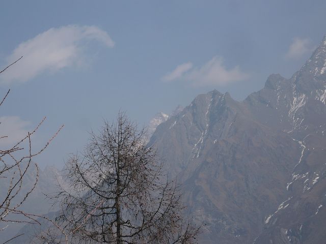 P1030549.jpg
