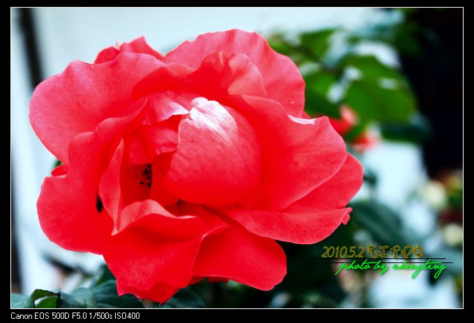 nEO_IMG_http_imgload60.jpg
