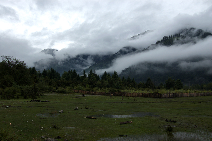 DSC_6295.jpg