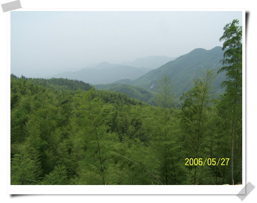 200653120255301039.jpg