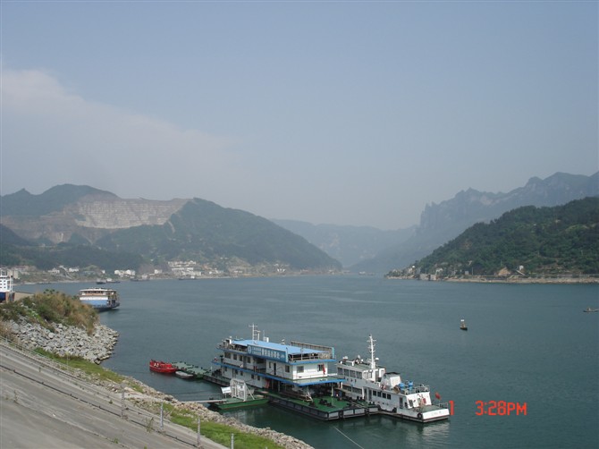 54494.jpg