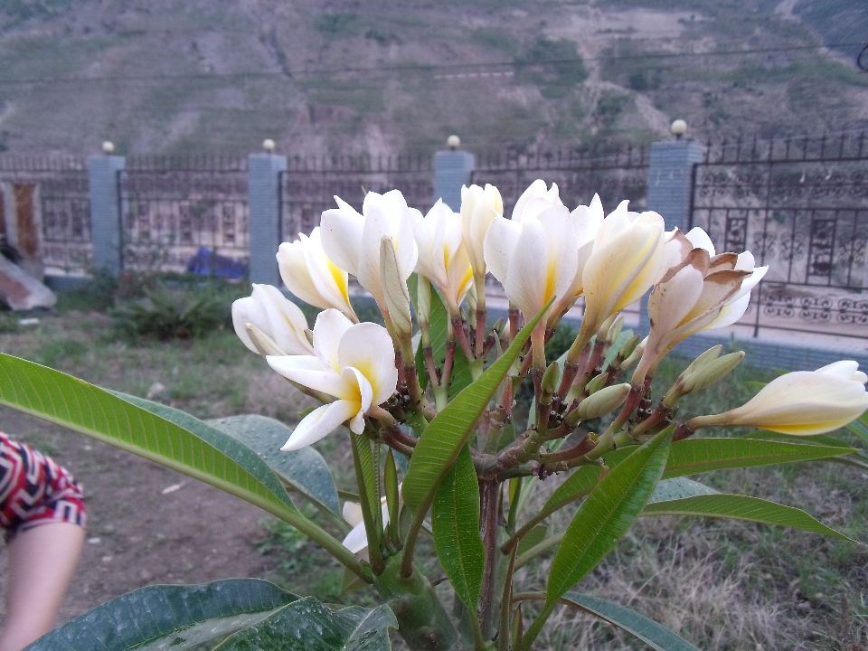 20100510�׻�4.jpg