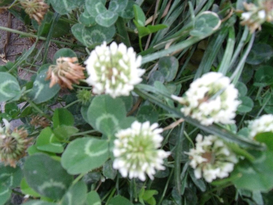 20100510�׻�6.jpg