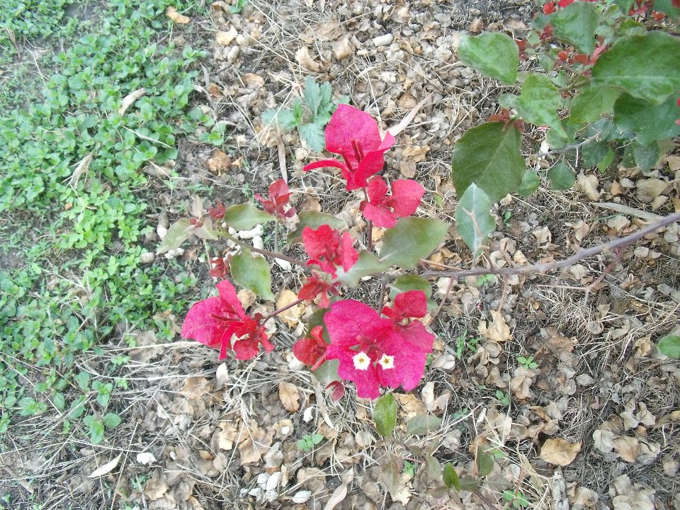 20100510�컨1.jpg
