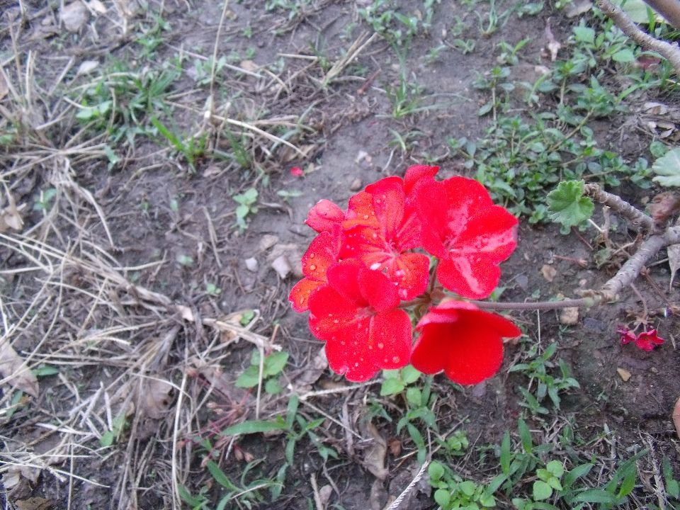 20100510�컨2.jpg