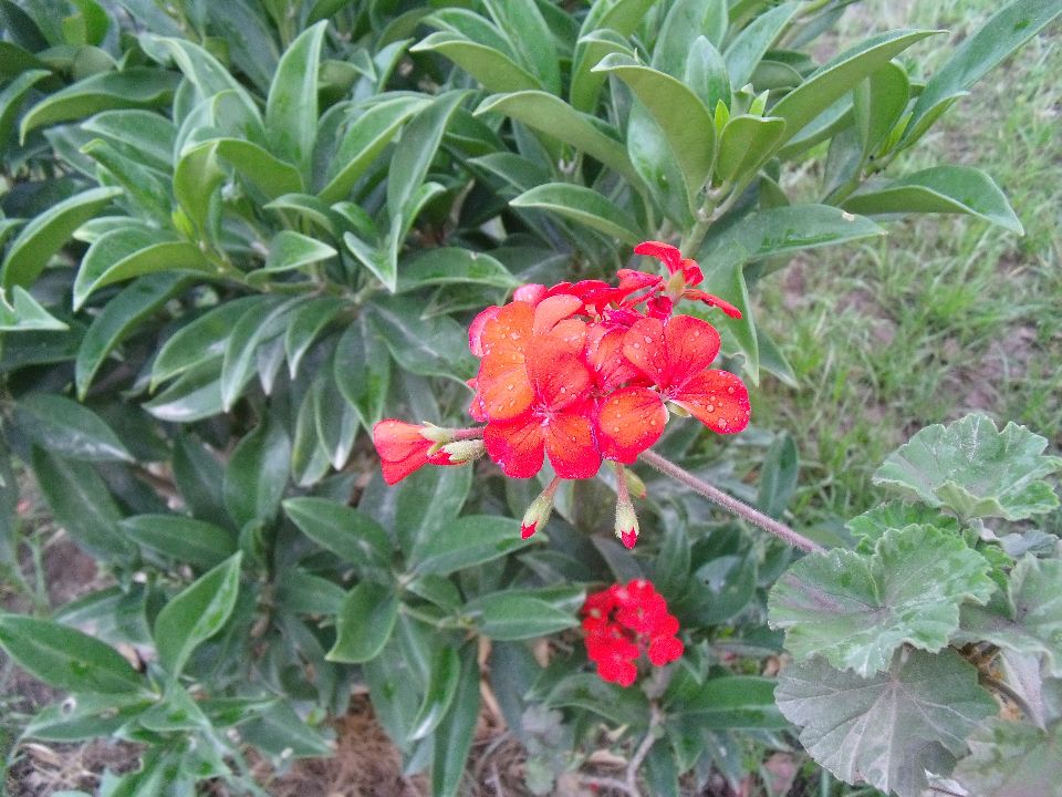 20100510�컨3.jpg