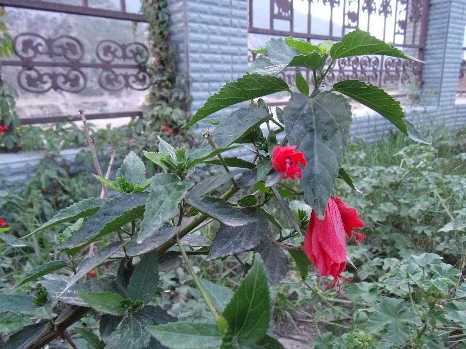 20100510�컨5.jpg