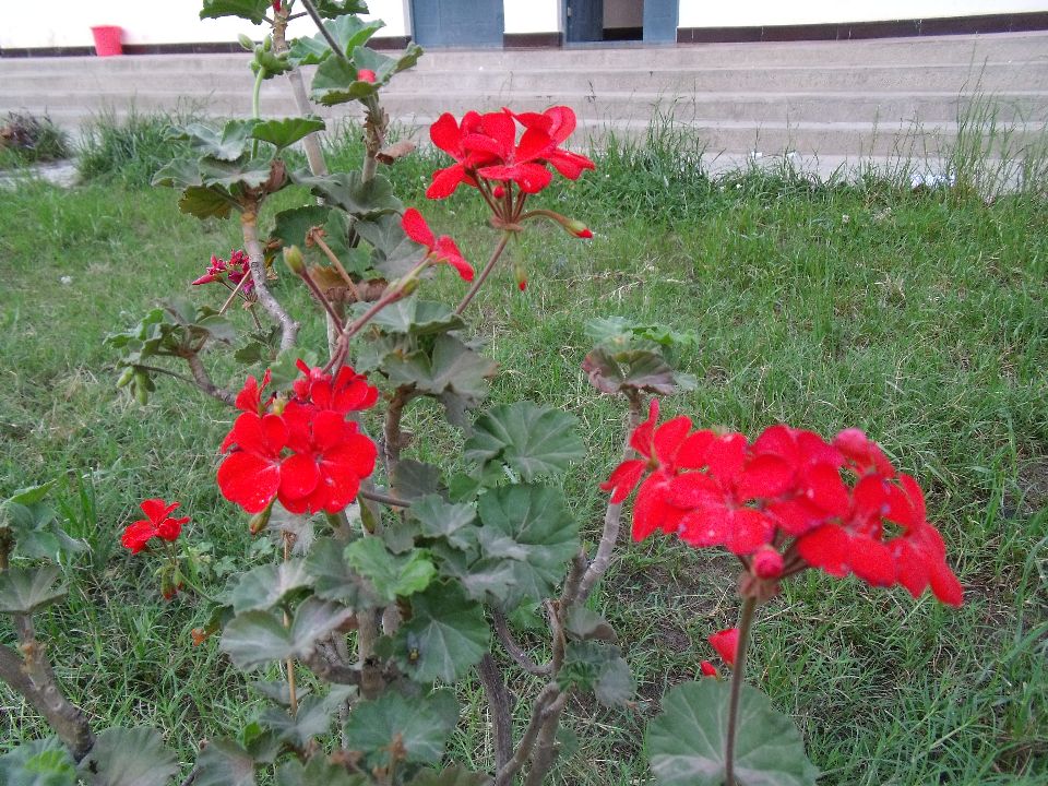 20100510�컨7.jpg