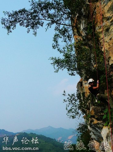 200905141526475351-162858.jpg
