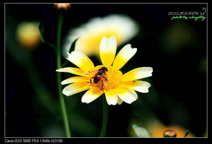 nEO_IMG_http_imgload34.jpg