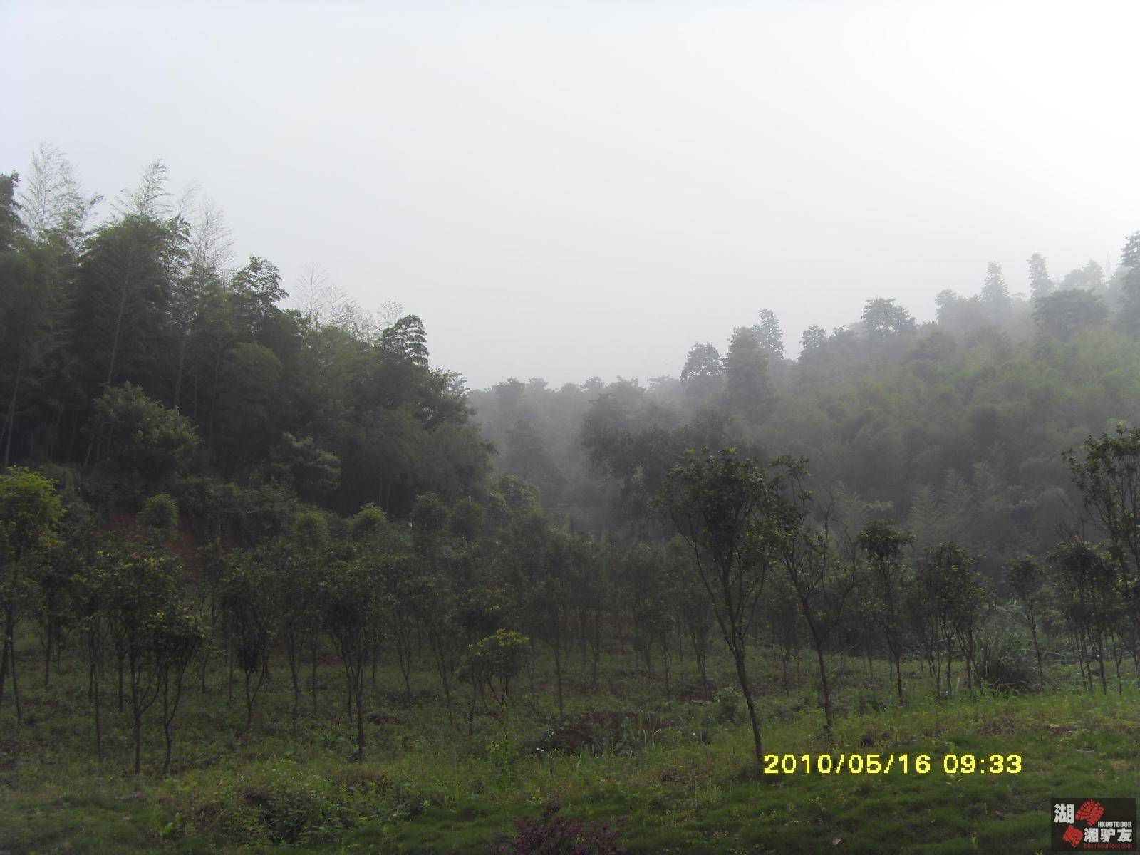 Table_SDC14173.jpg