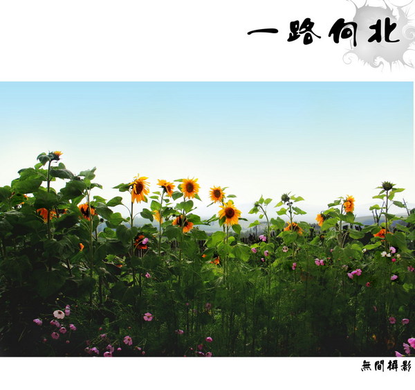 һ·��13.jpg
