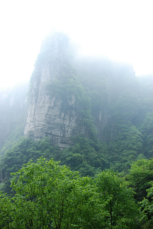 DSC_0104.jpg