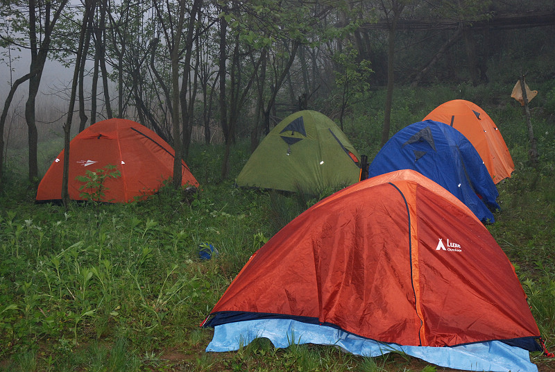 DSC_0126.jpg