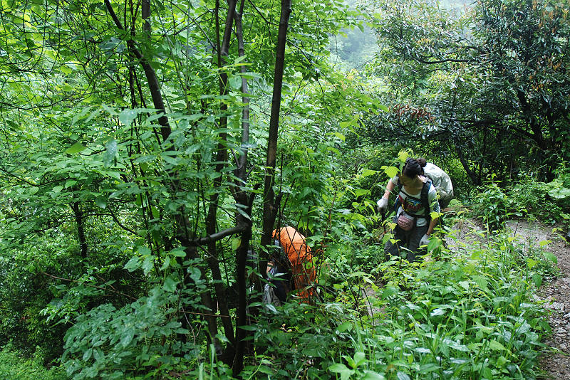 DSC_0197.jpg
