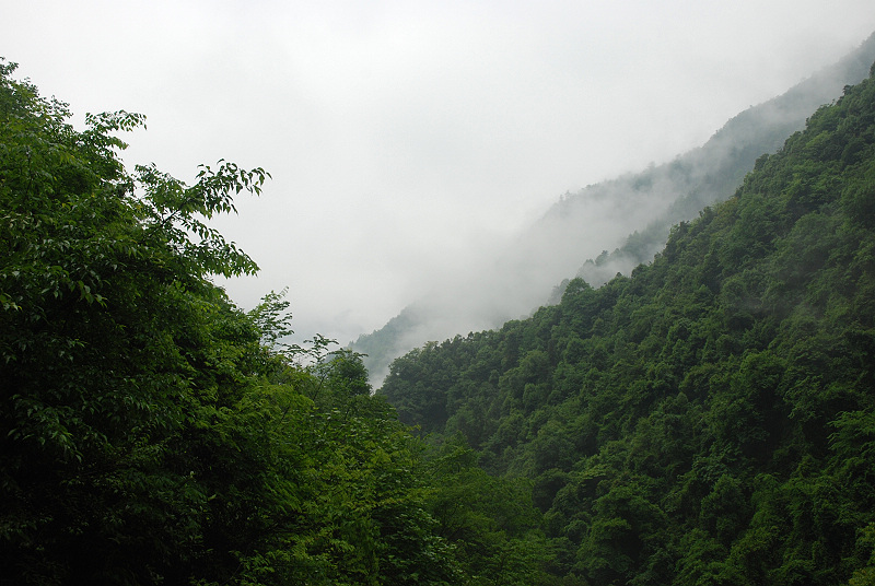 DSC_0209.jpg