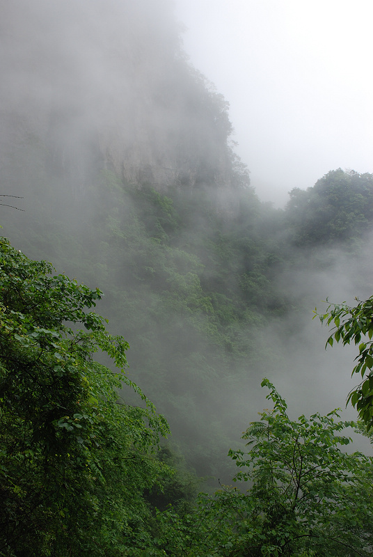 DSC_0224.jpg
