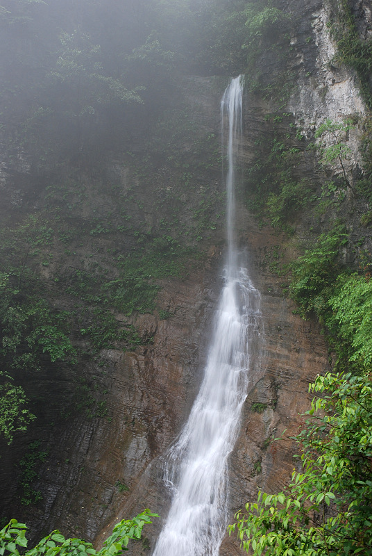 DSC_0227.jpg
