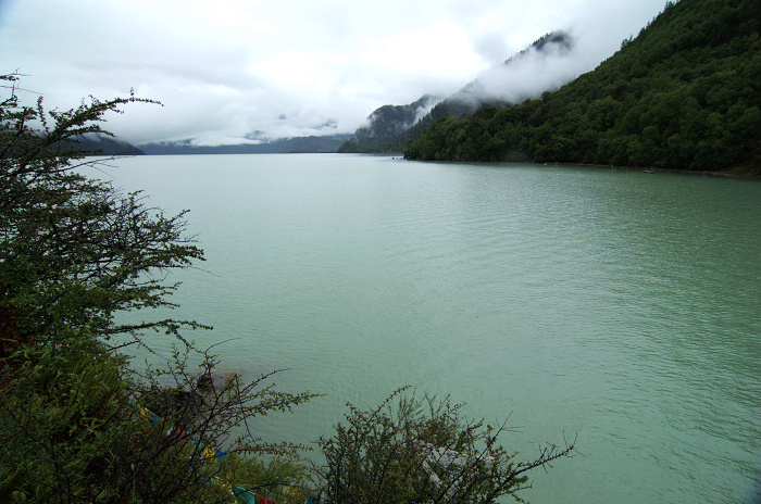 DSC_6467.jpg