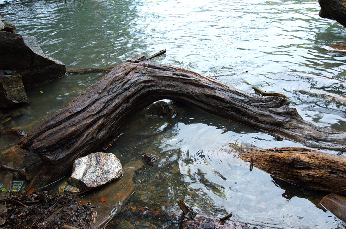 DSC_6477.jpg