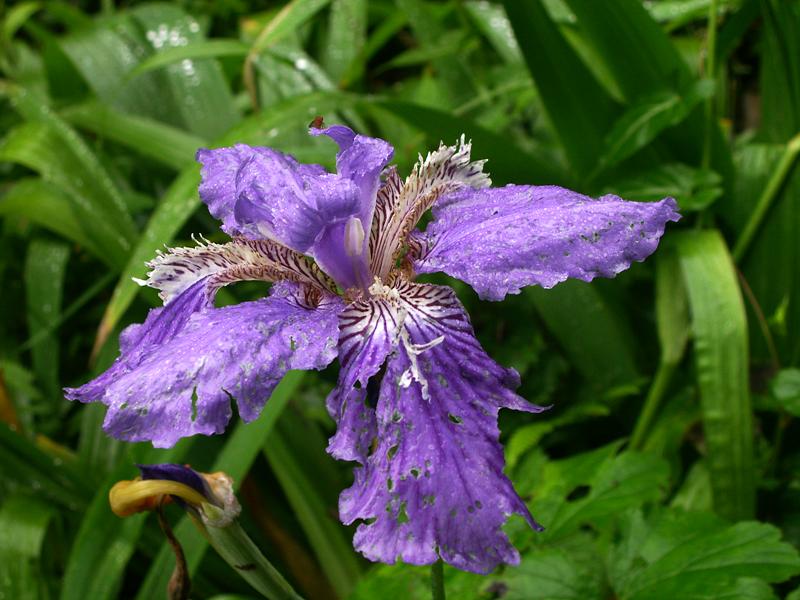 ����ɽ (55).jpg