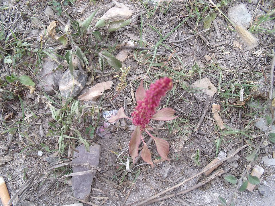 2010052091��.jpg