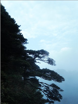 �ƻ�Ƕ������쿪�ۣ���շ��𵭵�����.jpg