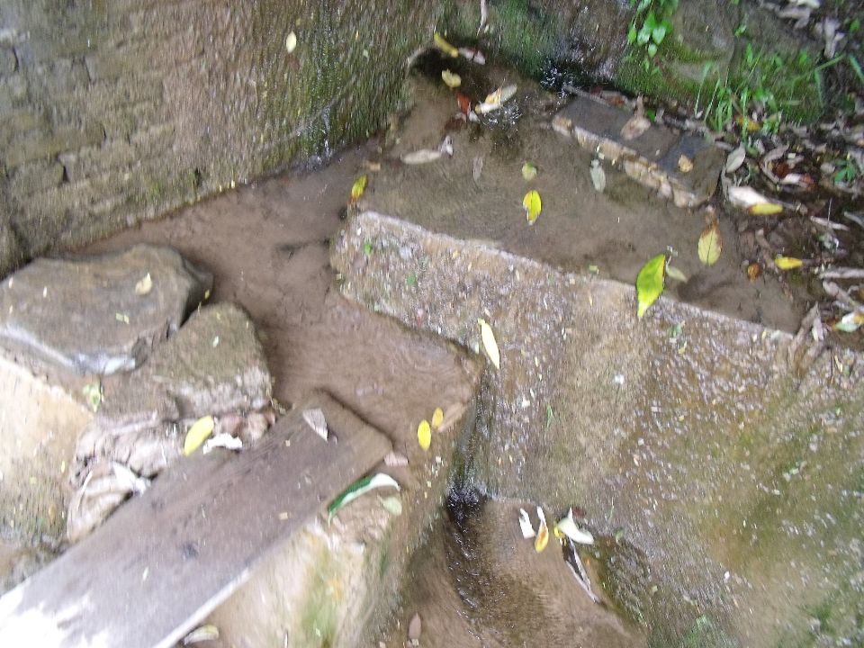 20100520 088.jpg