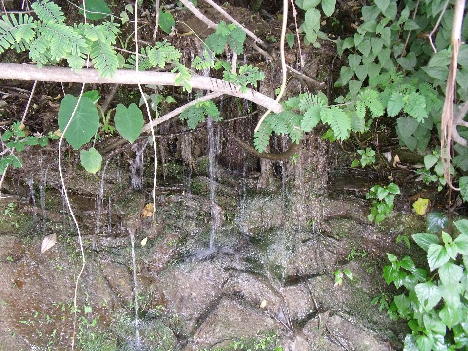 20100520 087.jpg